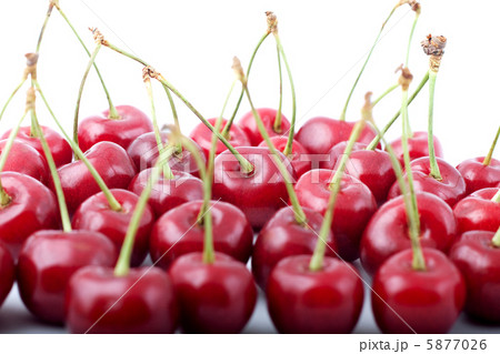 Red cherries 5877026