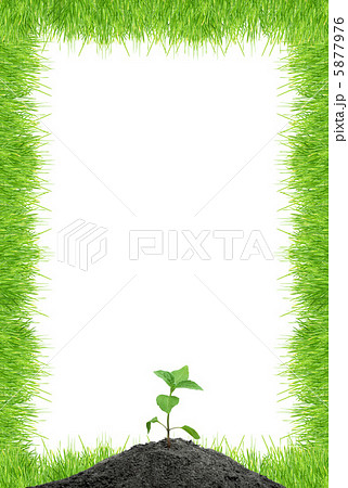 Green sprout 5877976