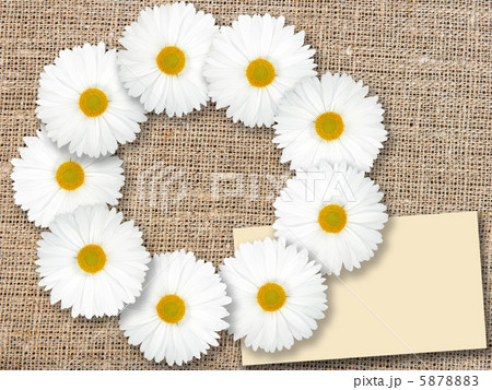 Abstract frame with white flowers Abstract frame with white flowers 5878883