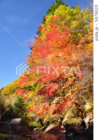 渓谷の紅葉 渓谷の紅葉 5879020