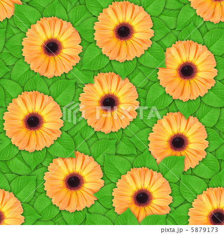 Seamless pattern of orange flowers and leaf 5879173