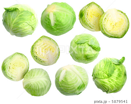Set of fresh green cabbage 5879541