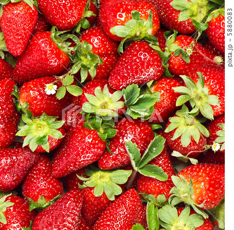 fresh strawberries fresh strawberries 5880083