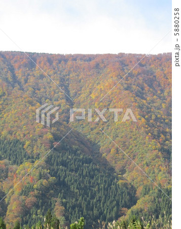 利賀瞑想の郷の紅葉 5880258