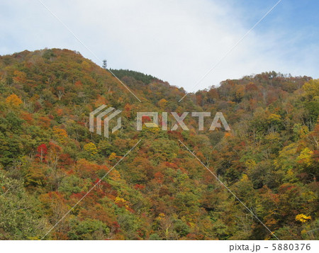 利賀村の紅葉 5880376