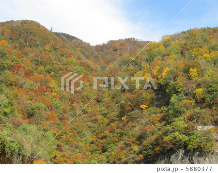 利賀村の紅葉 5880377