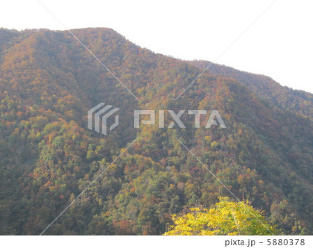 利賀村の紅葉 5880378