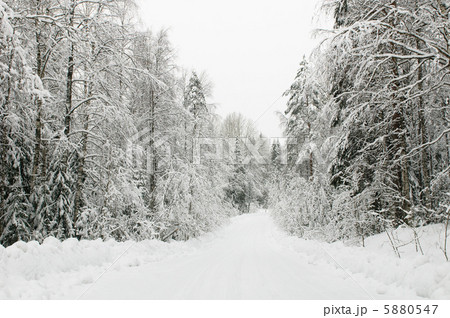 winter road 5880547