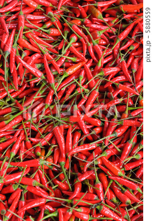 background of red chillies 5880559