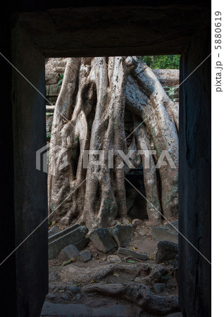 Ta Prohm Temple, Angkor, Cambodia Ta Prohm Temple, Angkor, Cambodia 5880619