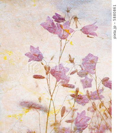 grunge floral background with space for text or image 5880861