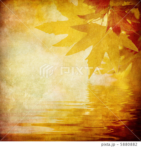 grunge background with autumn leaves grunge background with autumn leaves 5880882