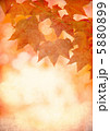 grunge background with autumn leaves 5880899