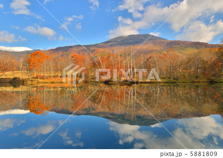 清水ヶ池と紅葉 清水ヶ池と紅葉 5881809