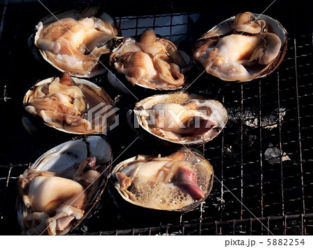 ホッキ貝の炭焼き 5882254