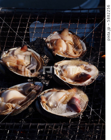 ホッキ貝の炭焼きの写真素材 556