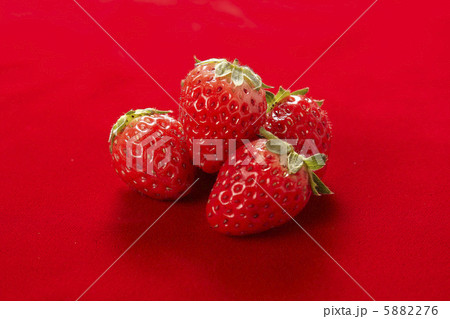 苺　切り抜き用素材 5882276