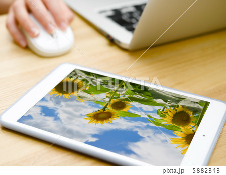 タブレットに写真表示 5882343