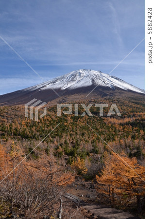 奥庭から見上げる富士山頂  5882428