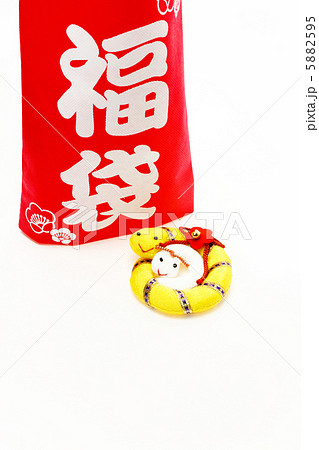 巳年　年賀素材　福袋と2匹のへび 5882595