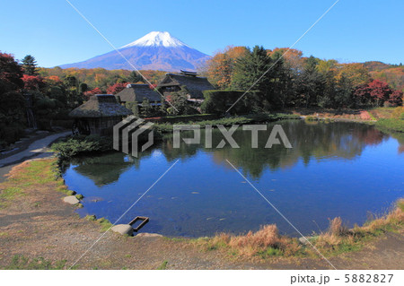 忍野八海秋景 5882827