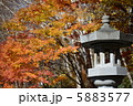 紅葉と灯籠 紅葉と灯籠 5883577