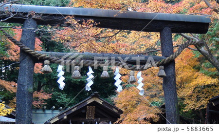 野宮神社の鳥居 野宮神社の鳥居 5883665