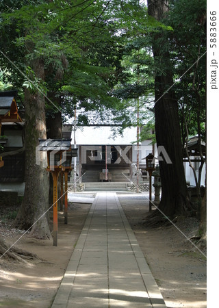 パワースポット川越　尾崎神社 5883666