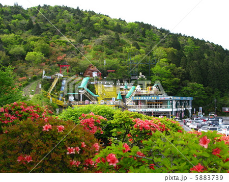 つつじ咲くつつじヶ丘 5883739