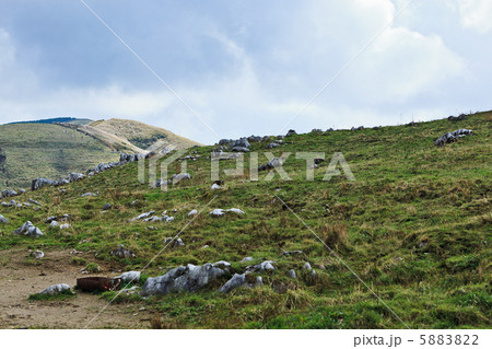 四国カルスト大野ヶ原4 5883822