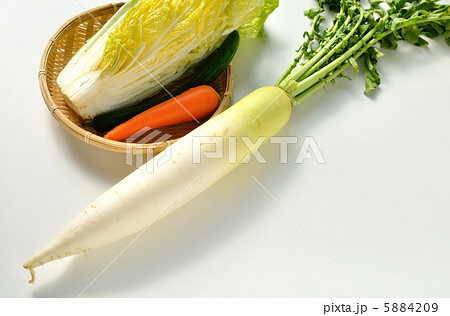 大根 5884209