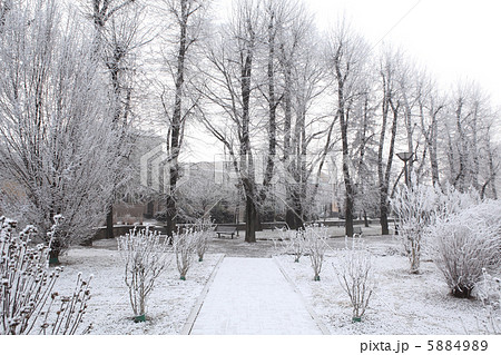 City park. Alba, Italy. 5884989