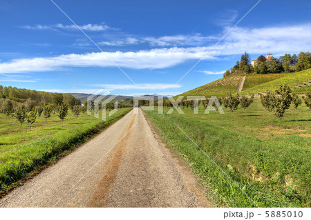 Road through the hills and fields. Piedmont, Italy. 5885010