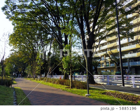 ひばりヶ丘 5885196