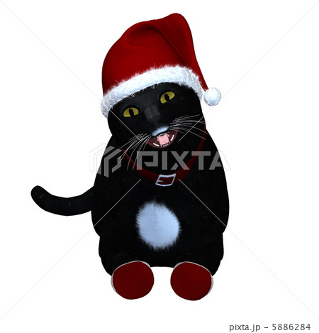 黒猫サンタ 5886284