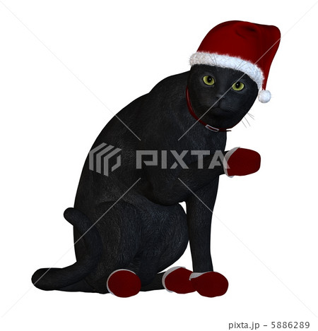 黒猫サンタ 黒猫サンタ 5886289