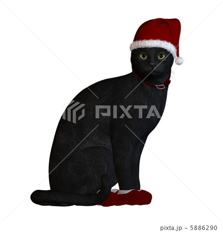 黒猫サンタ 5886290