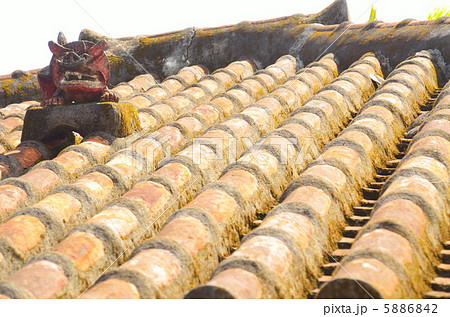 屋根のシーサー 屋根のシーサー 5886842