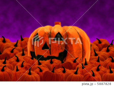 背景イメージ 5887828