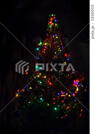 christmas fir with lightings 5890050