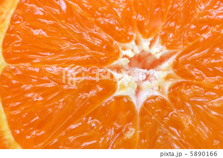 orange citrus fruit section orange citrus fruit section 5890166