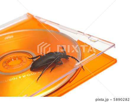 bug in software concept 5890282