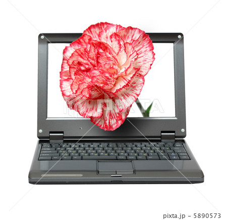 laptop with carnation 5890573