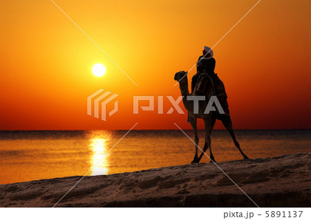 bedouin on camel silhouette against sunrise bedouin on camel silhouette against sunrise 5891137