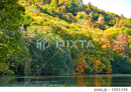 蓴菜沼の紅葉 5891346