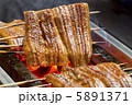 うなぎ 5891371
