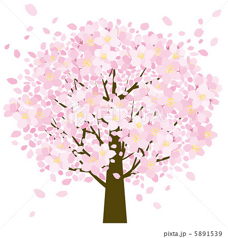 桜の樹のイラスト素材