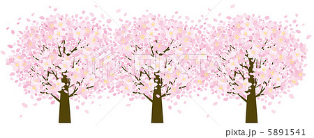 桜並木のイラスト素材