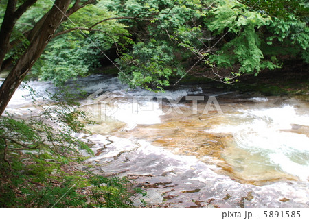 滑床渓谷の夏 滑床渓谷の夏 5891585
