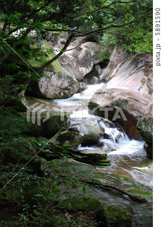 滑床渓谷の夏 滑床渓谷の夏 5891590